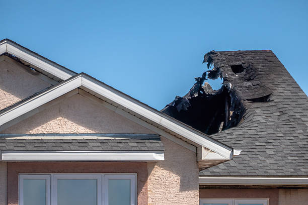 Top rated local Fire Damage Removal specialists in Mount Holly, NJ